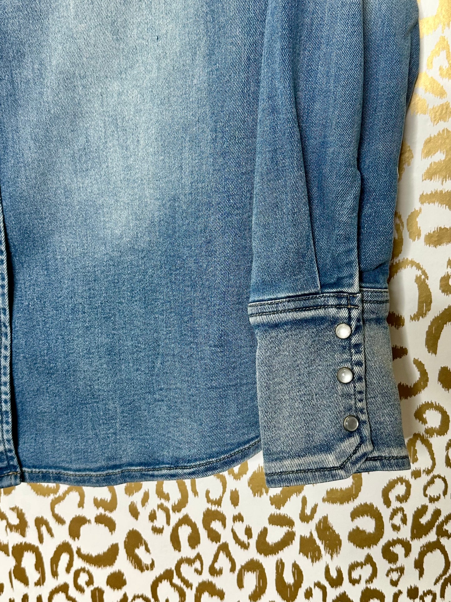 Audrey Denim Shirt